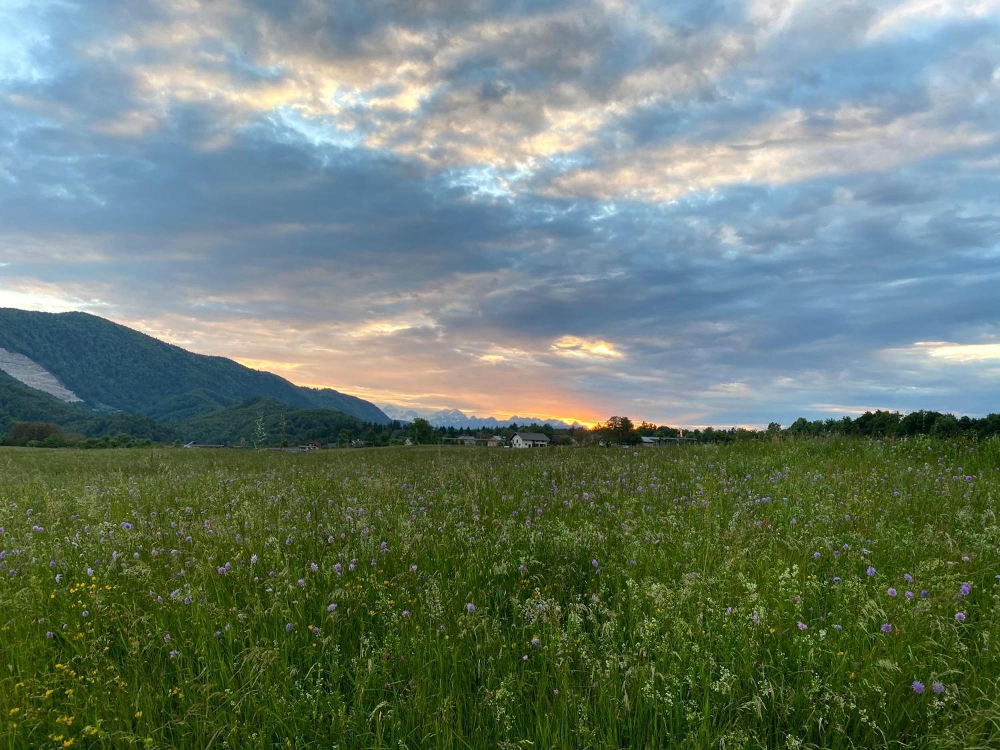 Luxury Holiday Home Near Lake Bled & The Alps Kropa Exteriör bild
